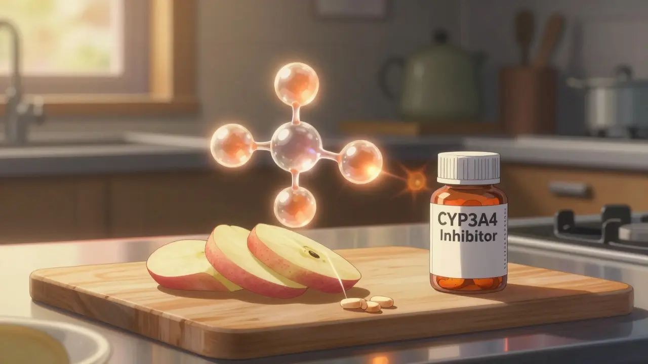 ケルセチンと薬の相互作用：酵素阻害による薬の血中濃度への影響